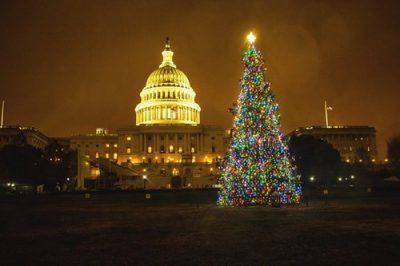 kenworth-capitol-christmas-tree