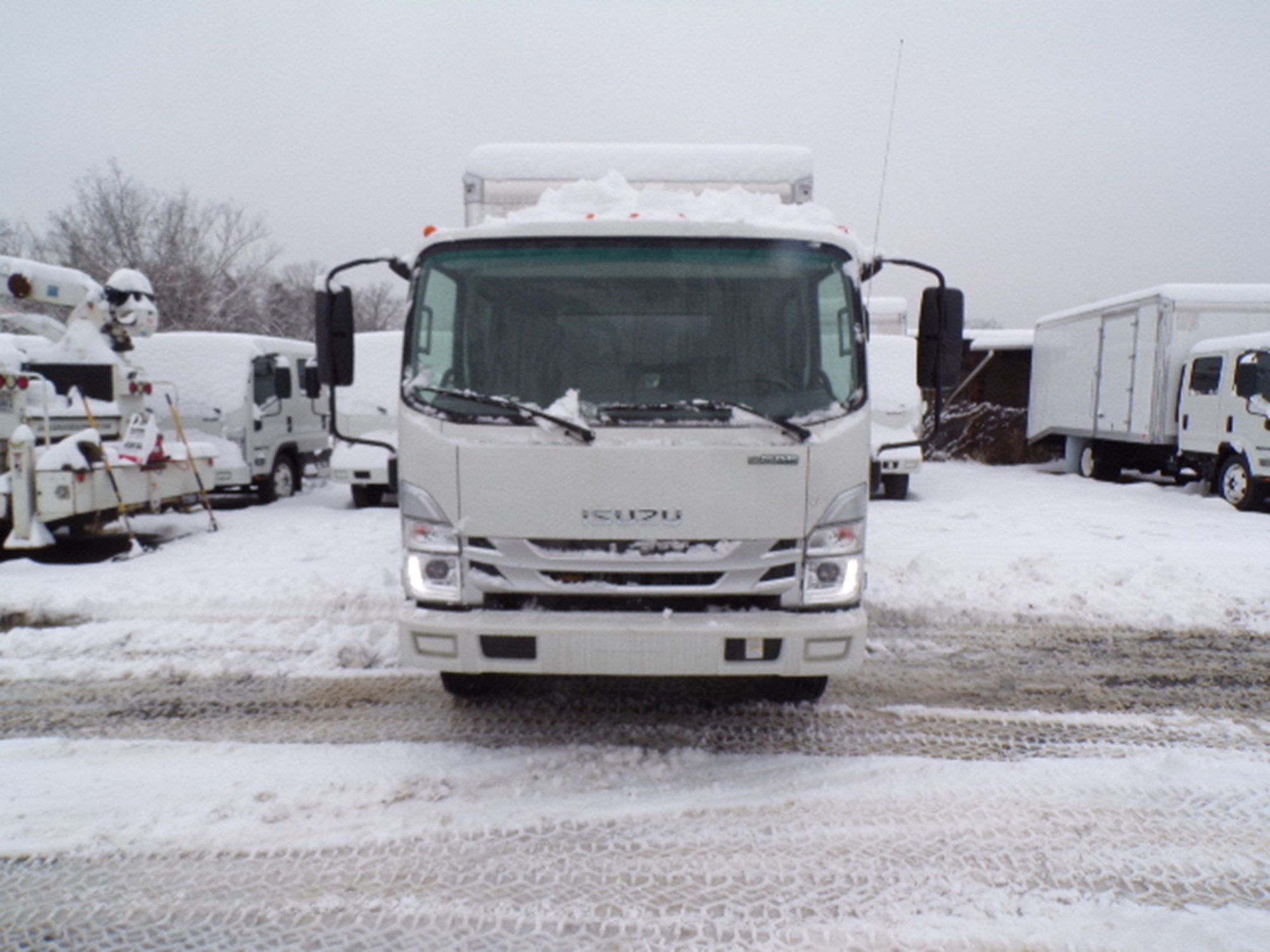 2024 Isuzu NPRGASHD 1G4 - image 4 of 6